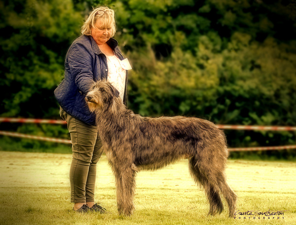 Postgraduate Dog 1st & Reserve Best Dog